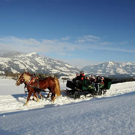 Διαμέρισμα Feinsinn *