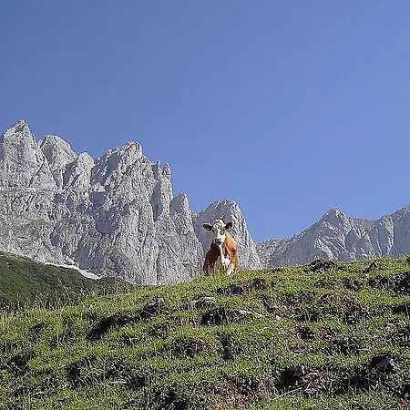 Feinsinn Апартаменты