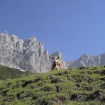 Feinsinn Appartement